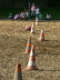 Ausflug zur Ranch