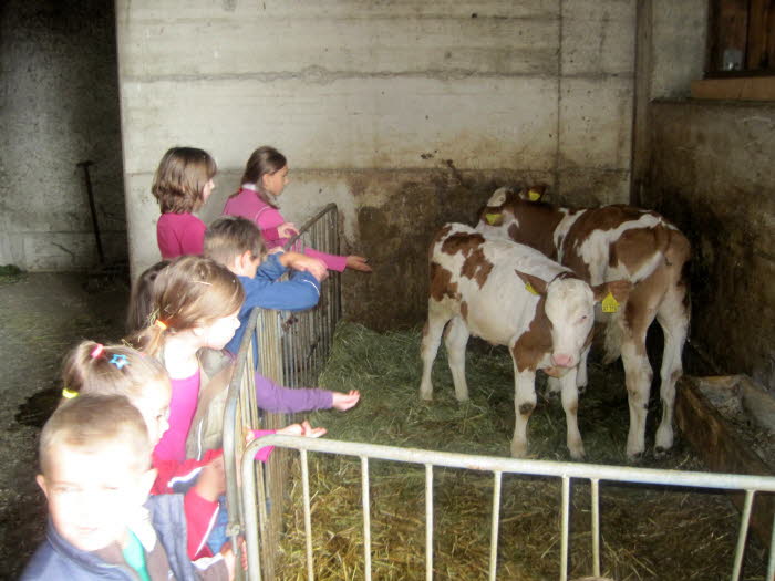 20140821 Besuch auf dem Bauernhof