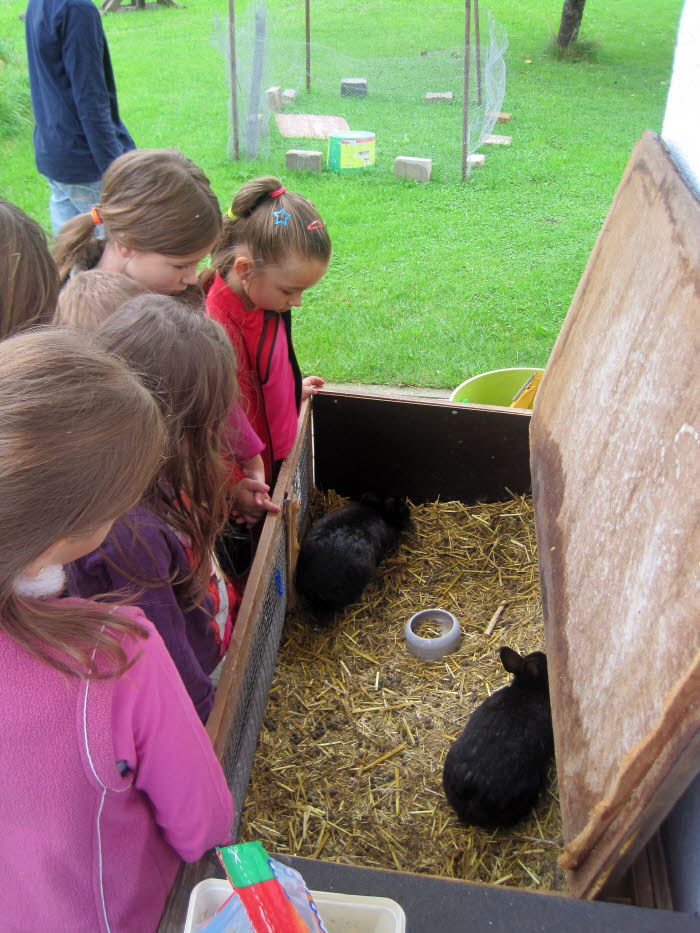 20140821 Besuch auf dem Bauernhof