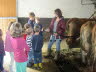 20140821 Besuch auf dem Bauernhof