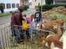 20140821 Besuch auf dem Bauernhof