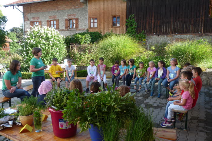 20150824 Krutertag